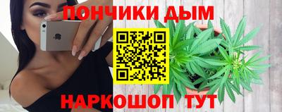 индика Будённовск