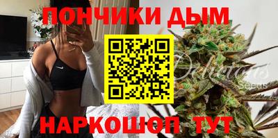индика Будённовск